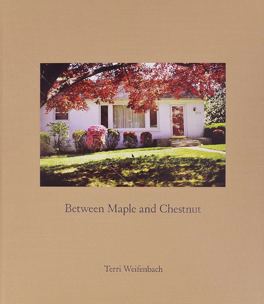 テリ・ワイフェンバック Between Maple and Chestnut Terri Weifenbach: Between Maple and Chestnut – NEUTRAL BOOKS