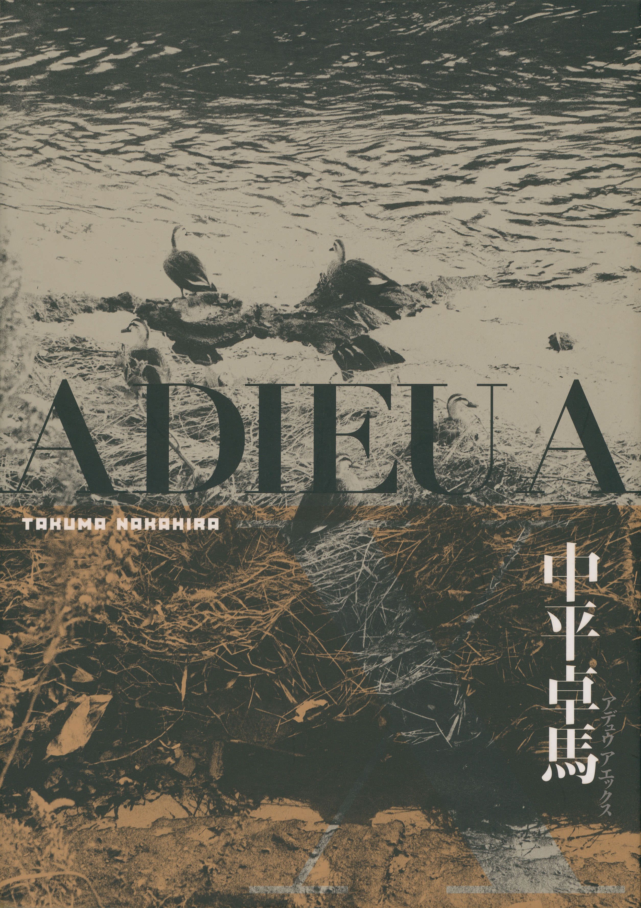 中平卓馬: Adieu a X – NEUTRAL BOOKS
