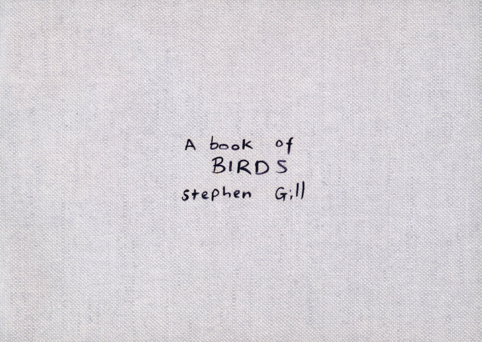 Stephen Gill: A Book of Birds