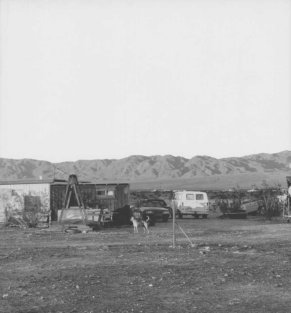 John Divola: Dogs Chasing My Car in the Desert