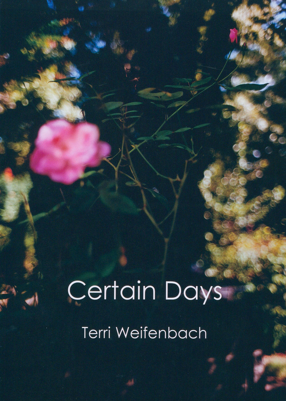 Terri Weifenbach: Certain Day