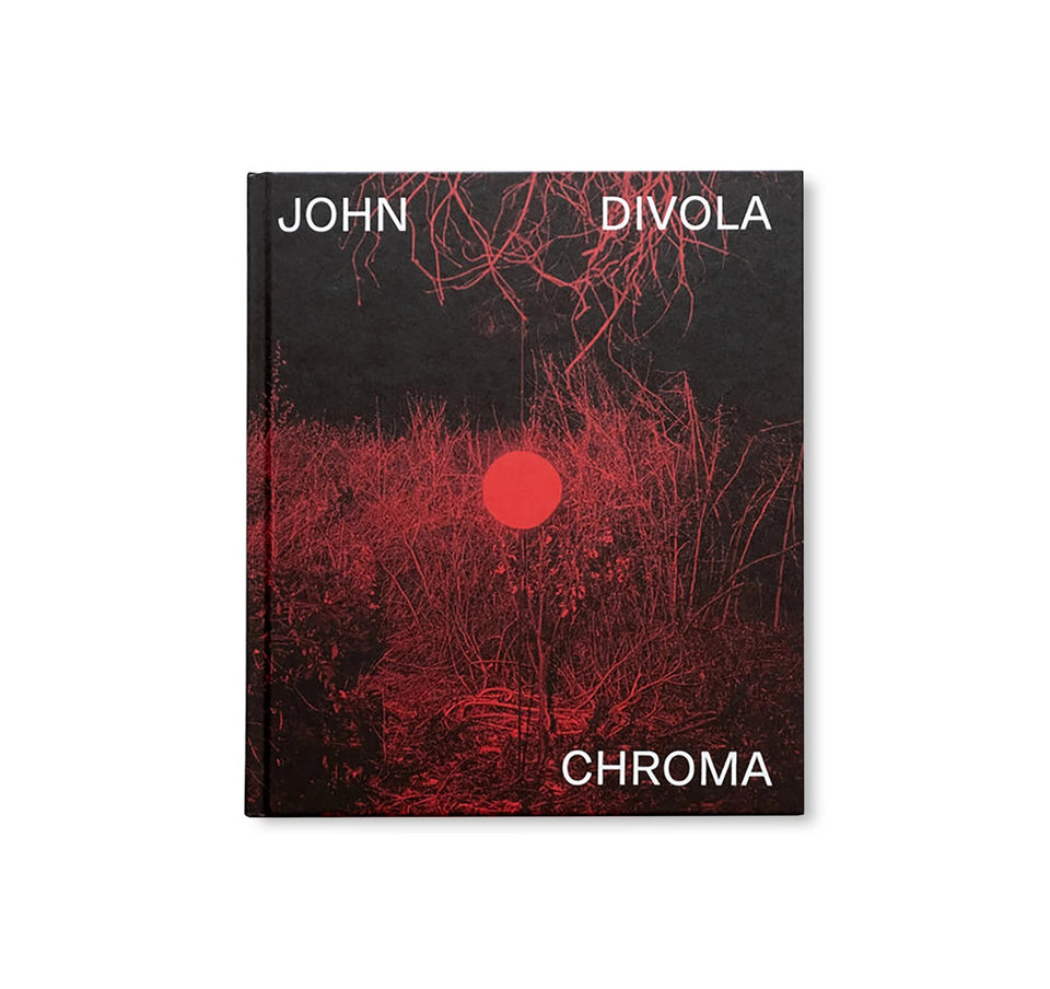 John Divola: CHROMA